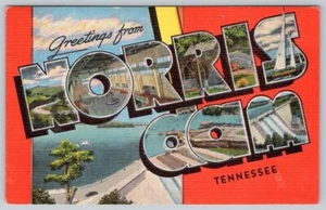 1940's GREETINGS FROM NORRIS DAM TENNESSEE TN LARGE LETTER LINEN POSTCARD - Picture 1 of 2