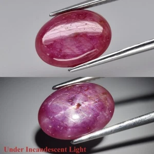6.28ct Oval Cab Purplish Red 6 Ray Star Ruby Gemstone (Heated Glass Filling) - Picture 1 of 12