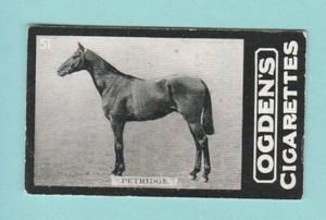 RACEHORSE - OGDENS TABS - GENERAL INTEREST - D SERIES NO. 51  ( B )  -  1902