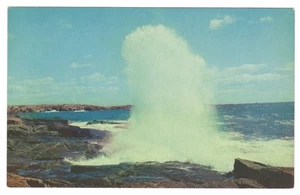 Schoodic Point Acadia National Park Maine Atlantic Surf Postcard - Picture 1 of 2
