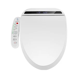 Electronic Smart Bidet Seat Heated Seat Warm Air Drying Self-cleaning Side-Panel - Picture 1 of 11