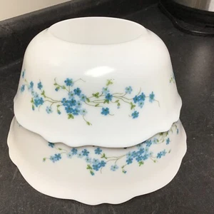 Vtg Arcopal France Blue Forget Me Not Veronica Glass 2 Nesting Mixing Bowls Set - Picture 1 of 5