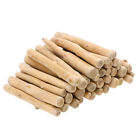 500 G Bamboo Birch Tree Branches Natural Driftwood for Aquarium