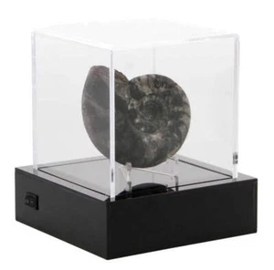 Acryl Vitrine LED Beleuchtung Sammlerstücke präsentieren, Showcase, Staubschutz - Bild 1 von 4