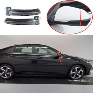 For Hyundai Elantra 2021-23 Replace Left Right Side Rearview Mirror Signal light - Foto 1 di 11