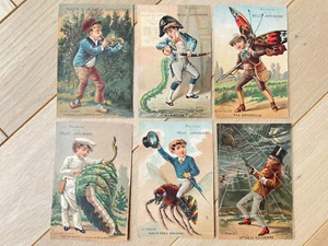 6 Chromos Belle Jardinière - Insecte Ver luisant Chenille Papillon Sicard XIXe - Bild 1 von 2
