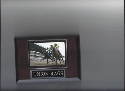 UNION RAGS PLAQUE HORSE RACING TURF Cover