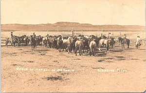 RPPC Glendive Montana Ranching Scene Rounding up Mares on OU Ranch 1912 - Picture 1 of 2
