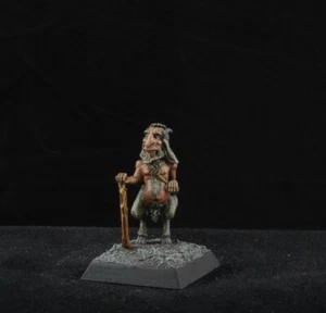 Bemalter Satyr aus Dark Sword Miniatures Abenteurer D&D männliche Figur - Bild 1 von 6
