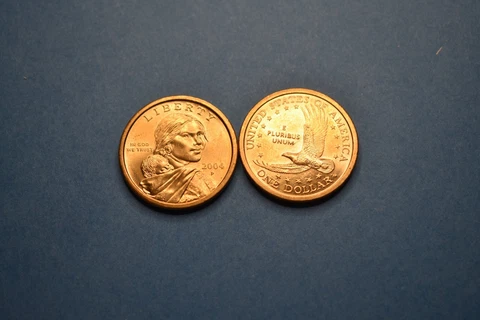 2004 P Sacagawea Native American Golden Dollar Cover