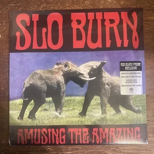 Slo Burn Amusing The Amazing Vinyl RSD Black Friday 2025 - Imagen 1 de 2