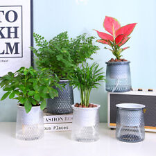 Double-layer Self Watering Plant Pot Transparent Plastic Flower Vase Automatic