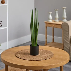 23” Artificial Sansevieria Snake Grass Plant Home Decor. Retail $97 - Picture 1 of 2