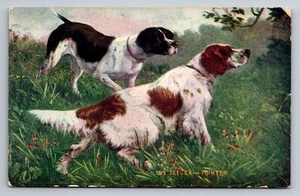 Vintage Setter und Zeiger Jagdhunde illustrierte Postkarte - Bild 1 von 2