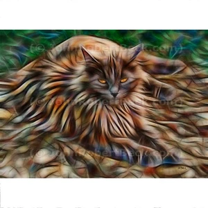 Tarjeta de arte ACEO impresión de gato (2,5" x 3,5") actitud siberiana - firmada por artista - Imagen 1 de 7