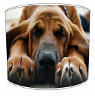 Bloodhound Dog Table Lamps, Ceiling Lights, Bedside Lampshades, Ceiling Pendants