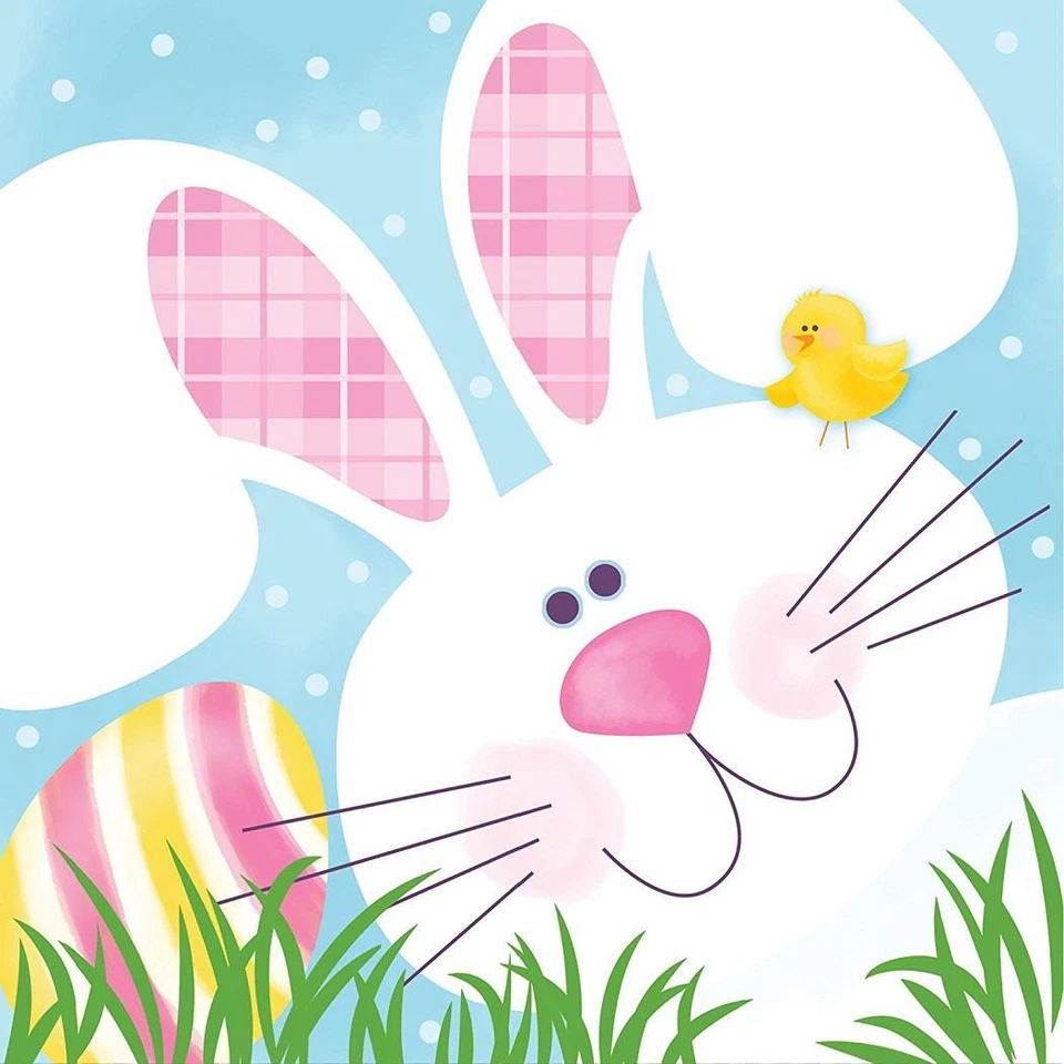 Cottontail Fun Bunny Rabbit Animal Easter Holiday Party Paper Beverage Napkins - Image 1 of 1