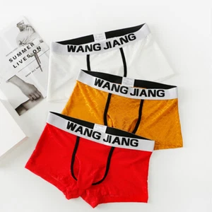 Men's Underwear Elephant Nose Boxer Briefs - Breathable Mesh, Comfortable Fit - Picture 1 of 18