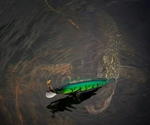 DUO REALIS JERKBAIT 120/130 PLUS FREE GIFT - Picture 1 of 81