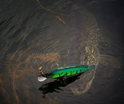 DUO REALIS JERKBAIT 120/130 PLUS FREE GIFT