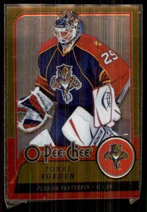 2008-09 O-Pee-Chee Metal Tomas Vokoun #403