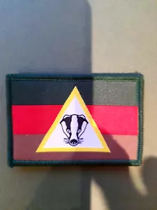 Royal Tank Regiment, Badger squadron - Picture 1 of 1