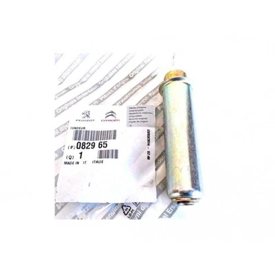 Galet Tendeur Courroie Di Distribuzione Per Opel Arena Fiat 131 4400200 4279745 - Изображение 1 из 3