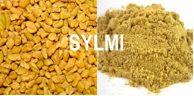 Semente orgânica PREMIUM FENUGREK inteira/moída Methi Kasoori 1 2 4 5 16 32 oz/Lb/Kg - Imagem 1 de 4