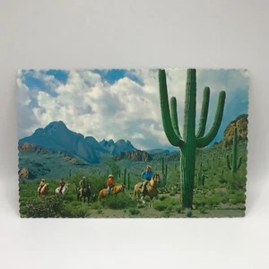 Horseback Riding In Tucson Mountain Park Vintage Postcard - Picture 1 of 3