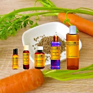 Carrot Seed Carrier Oil - Extra Virgin - Cold Pressed - Sizes 1oz - 1 Gallon - Picture 1 of 9