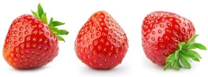 200 Everbearing Strawberry Seeds to Grow Red Strawberry Vines Made in USA - Picture 1 of 3