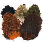 INDIA HEN BACK - Hareline Fly Tying Soft Hackle Saddle Feathers - 5 Colors NEW!