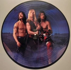 Spın̈al Tap – Break Like The Wind - Picture Disc Like New Original Clear Sleeve - Picture 1 of 3