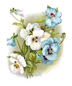 Klein Blue Pansies Crazy Quilt Fabric Block Multi Sizes Free Shipping (P4 - Picture 1 of 1