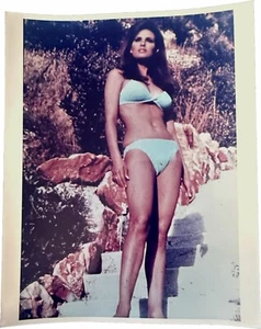 Raquel Welch Beauty 8x10 Photo - Imagen 1 de 3