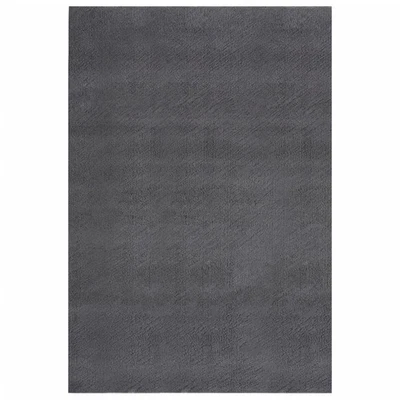  Alfombra peluda antracita 100 % poliéster 94,5 x 133,9 pulgadas alfombra peluda Foto 1 de 4