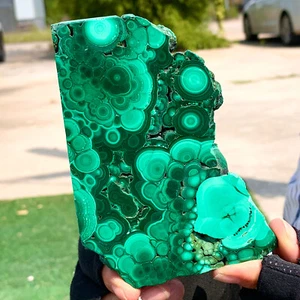 244G Malachite lucida naturale trasparente grappolo campione minerale grezzo - Foto 1 di 12