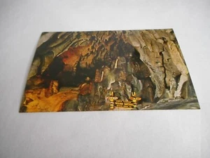 Vintage Postcard unposted Indian Caverns Spruce Creek PA Petrified Forest 1965 - Picture 1 of 2