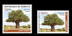 DJIBOUTI 2025 SET 2V - BAOBAB TREE TREES - MNH - Picture 1 of 1