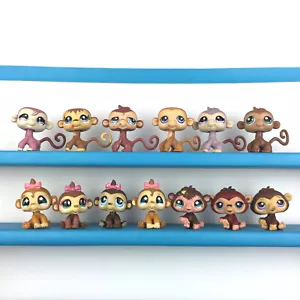 Authentic 13 Littlest Petshop Lot Monkey Ape Chimp Gorilla / LPS Set - Bild 1 von 7