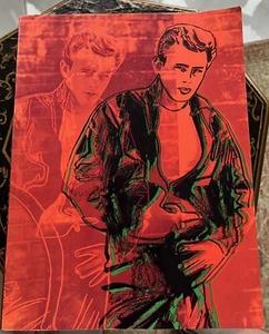 JAMES DEAN AMERICAN ICON 1st Edition Photography Biography DALTON CAYEN - Picture 1 of 13