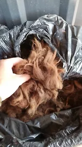 raw alpaca fiber - Picture 1 of 4