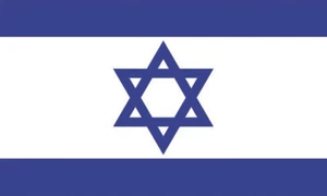 Lot of 10 Israel Flag Face Stickers 1012 - 1.5" x 2.5" - Picture 1 of 1