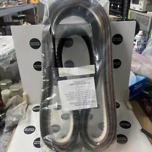 NUEVO CINTURÓN NEGRO LITTLE DAVID SIN FIN NTNC/V Nuevo - Imagen 1 de 2