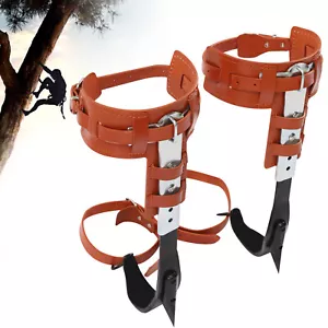 Baumklettern Spike Set verstellbar Sicherheitsgurt Handschuhe Schlüsselband Rettungsgürtel 440lbs - Bild 1 von 12