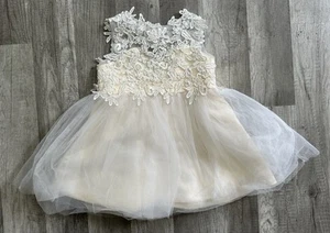 Floral Lace Flower Girl Dress Baby Toddler Size 18 Months? Chest Is 22” No Tag - Picture 1 of 11