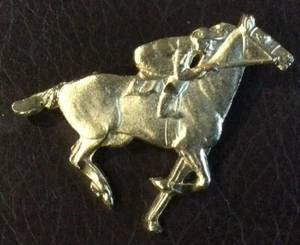 Racehorse Costume Gold Pin - Picture 1 of 2