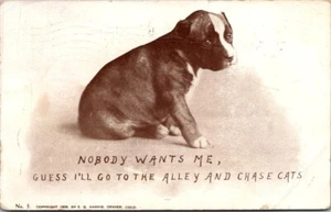 NOBODY WANTS ME Sad Puppy animal humor c1909 Postcard - Bild 1 von 2
