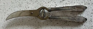 Stainless Steel Poultry Shears Boning Meat Scissors 10” L Unbranded - Picture 1 of 10