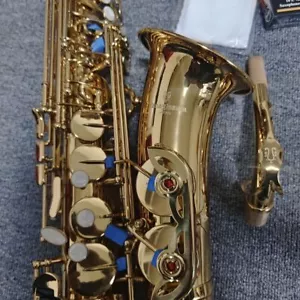 Yanagisawa W-037 High-end Alto Saxophone, Fine Workmanship with Case Accessories - Picture 1 of 5